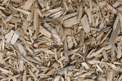 biomass boilers Ellel